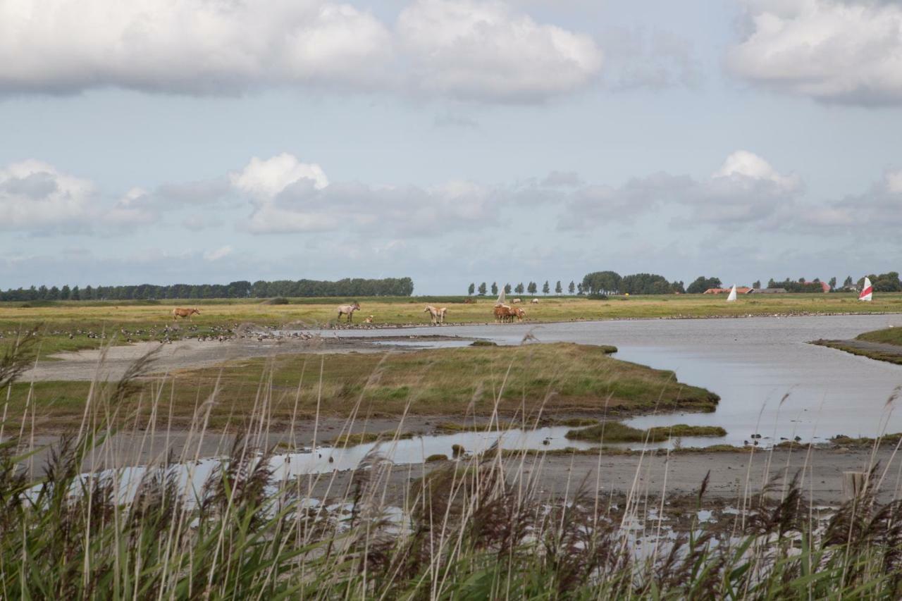 Вілла Ootmen Wolphaartsdijk Екстер'єр фото